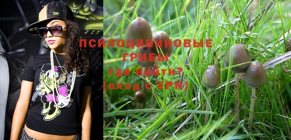PSILOCYBIN Вяземский