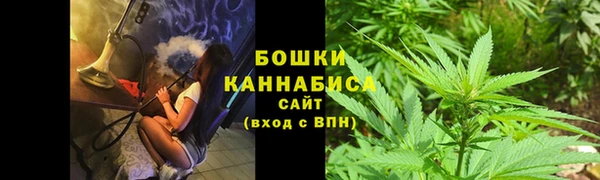PSILOCYBIN Вяземский