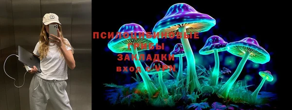 PSILOCYBIN Вяземский