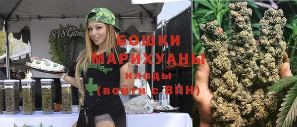 PSILOCYBIN Вяземский