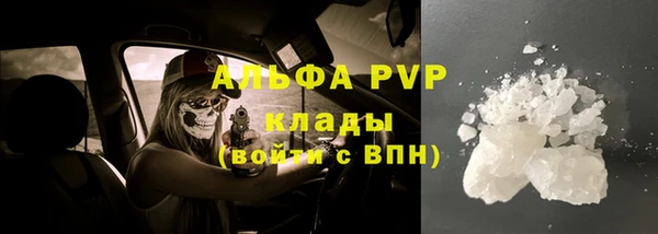 PSILOCYBIN Вяземский