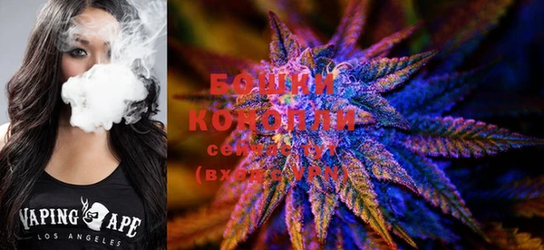 PSILOCYBIN Вяземский