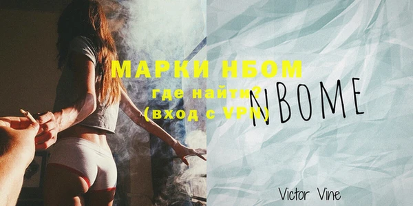 PSILOCYBIN Вяземский