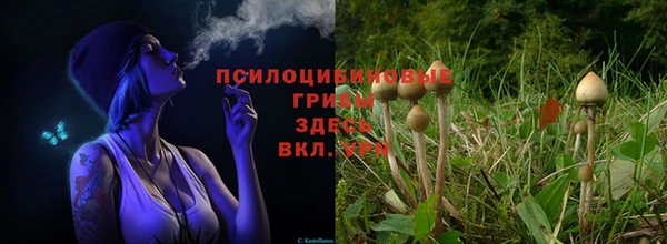 эйфоретик Вязники