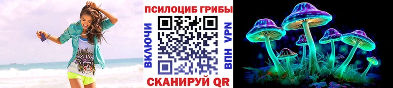 купить  сайты  Грозный  Псилоцибиновые грибы Cubensis 